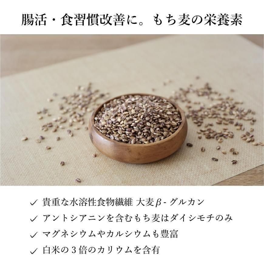 有機もち麦ダイシモチ R3年度産 500g｜国産（宮崎県）無農薬・無