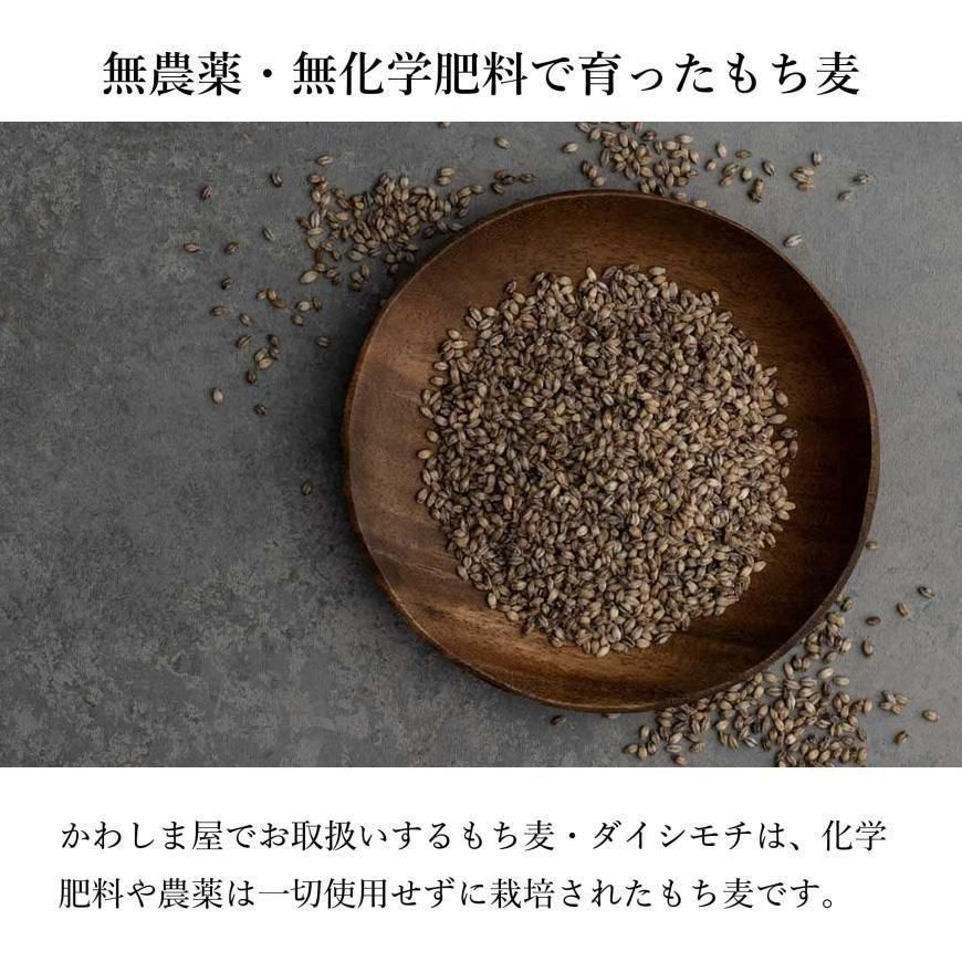 有機もち麦ダイシモチ R3年度産 500g｜国産（宮崎県）無農薬・無
