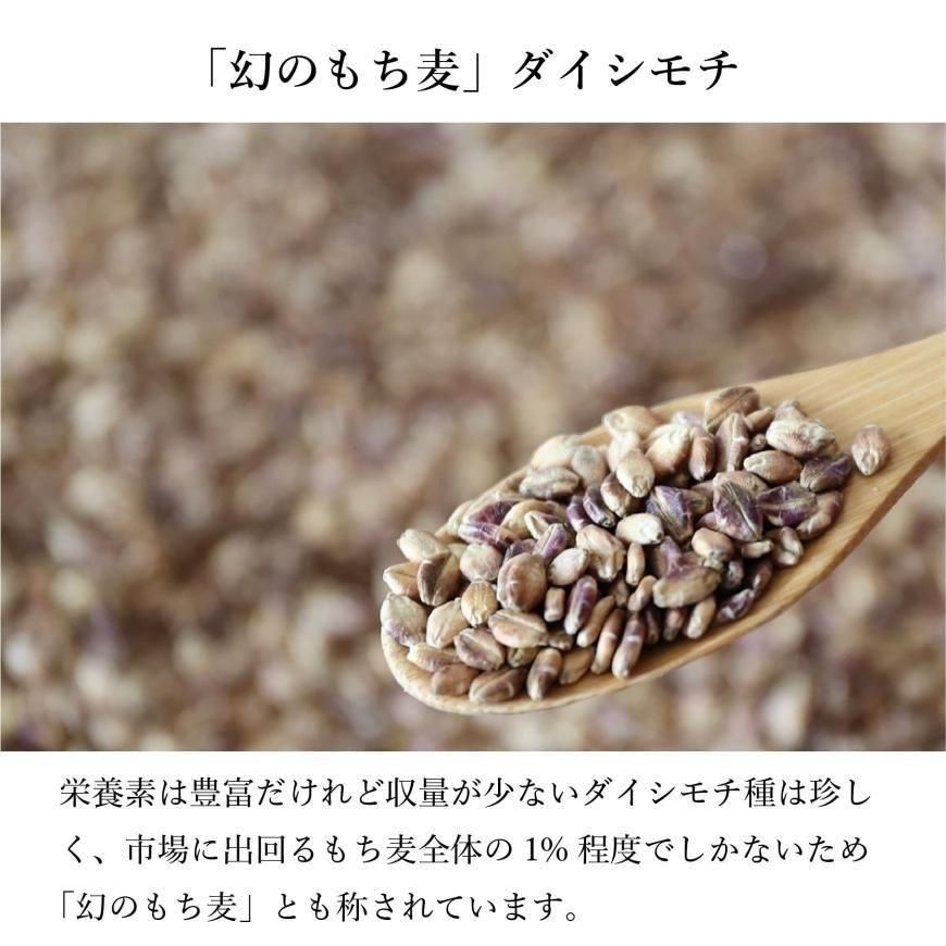 有機もち麦ダイシモチ R3年度産 500g｜国産（宮崎県）無農薬・無