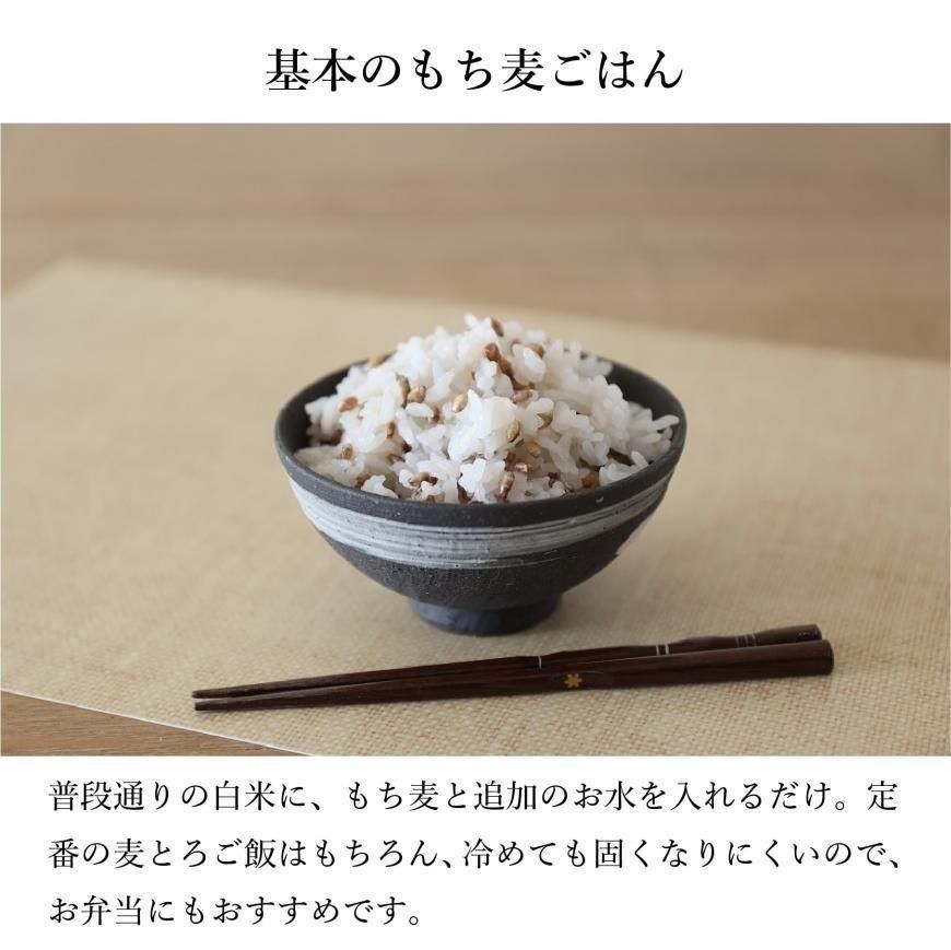 【初回限定お試し価格】 有機もち麦ダイシモチ R3年度産 500g｜国産（宮崎県）無農薬・無 米・雑穀・粉類