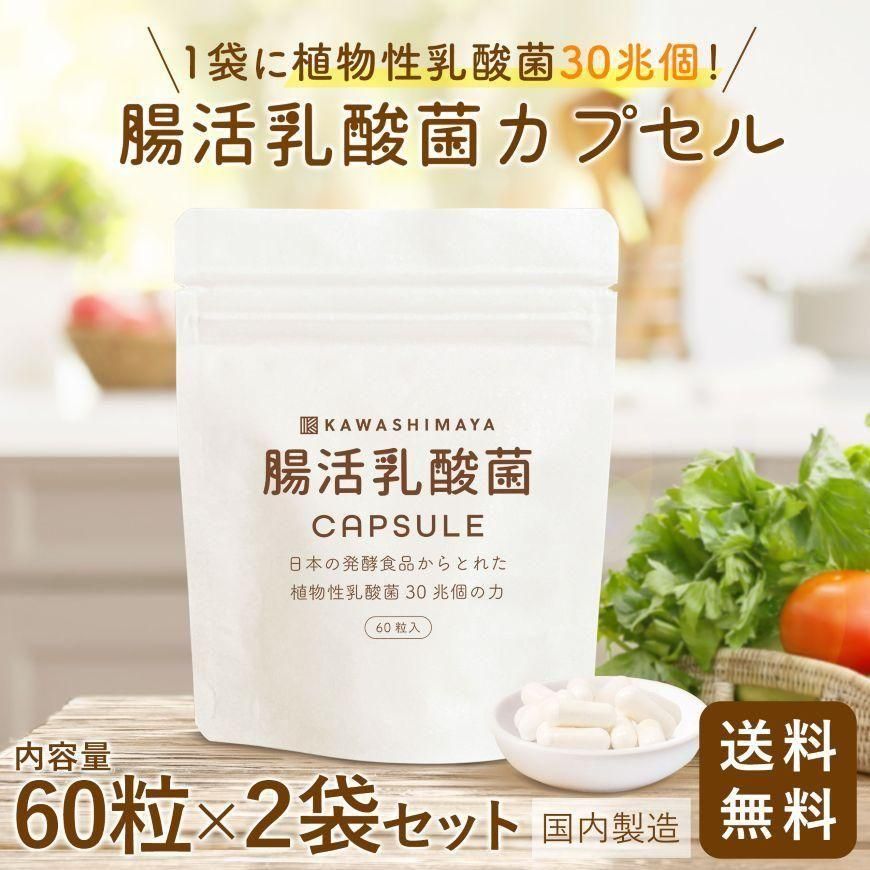 乳酸菌サプリ 60粒×2袋セット｜1袋に30兆個の植物性乳酸菌