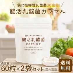 Ĳݥץ ץ륿 60γ2ޥåȡ1ޤܤȯڿͳοʪݤ30ġ -路޲- ̵*᡼ؤǤȯ*