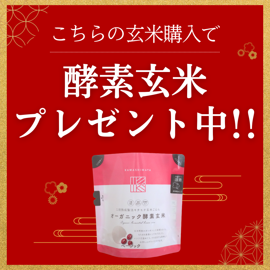 宮城県産 無農薬有機米ひとめぼれ5kg×2袋 有機玄米 ひとめぼれ 5kg（宮城県産）｜栽培期間中農薬・化学