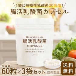 Ĳݥץ ץ륿 60γ3ޥåȡ1ޤܤȯڿͳοʪݤ30ġ -路޲- ̵*᡼ؤǤȯ*