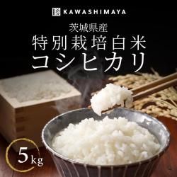 <img class='new_mark_img1' src='https://img.shop-pro.jp/img/new/icons5.gif' style='border:none;display:inline;margin:0px;padding:0px;width:auto;' />ڿơ̺  ҥ5kg 븩2025ǯٻ-路޲-