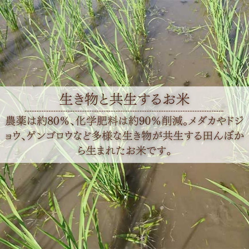 新米】特別栽培 白米 あきたこまち 5kg 茨城県産（2025年度産