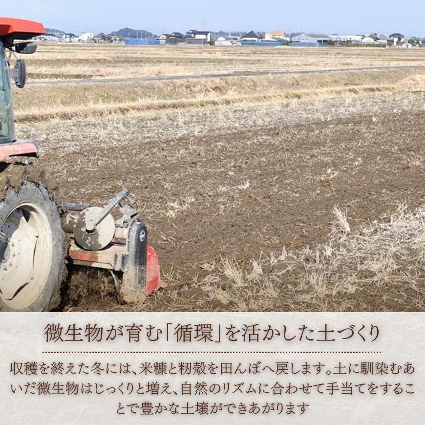 新米】特別栽培 白米 あきたこまち 5kg 茨城県産（2025年度産