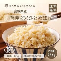 ڿơͭ ҤȤܤ 5kg5ޥå (25kg) ܾ븩úݴԻѡ2025ǯٻ-路޲-̵