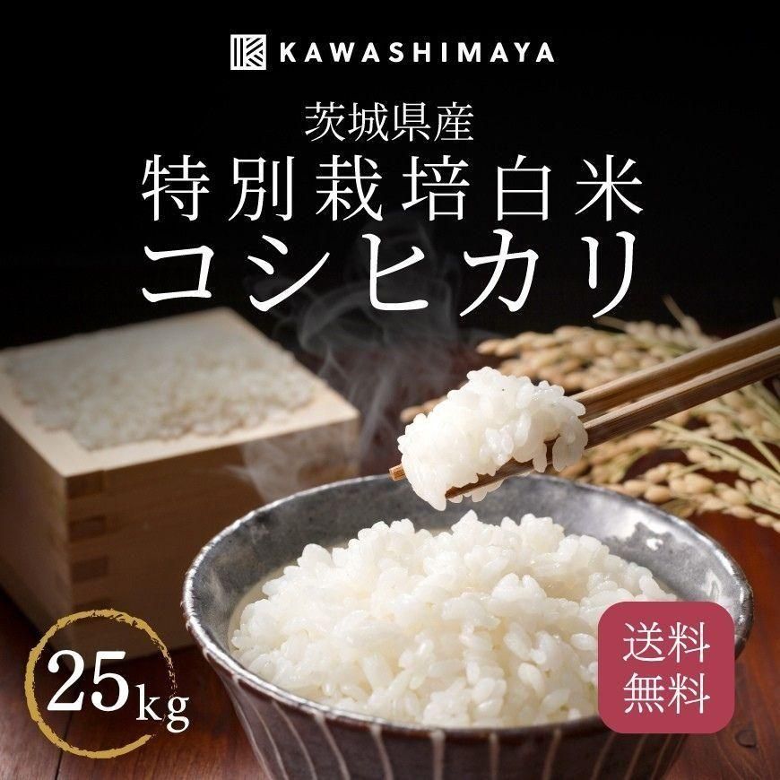 ڿơ̺  ҥ 5kg5ޥå (25kg) 븩 2025ǯٻ ̵-路޲-