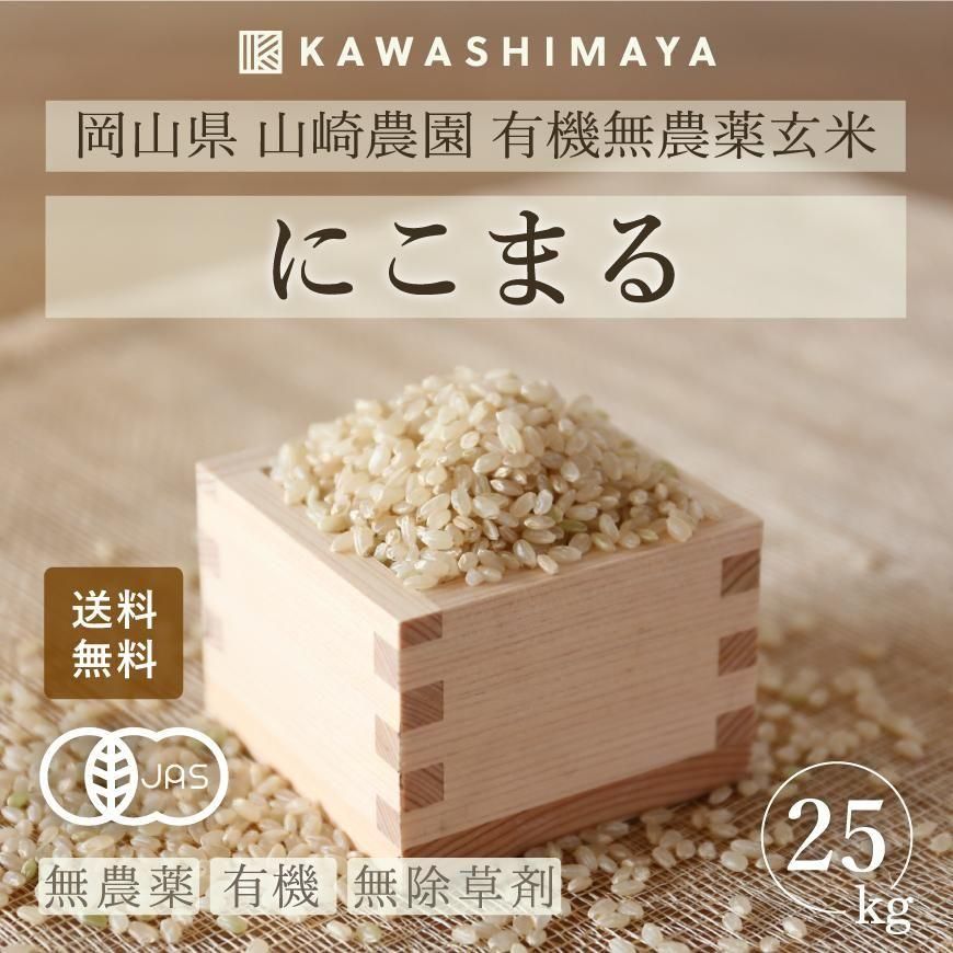 ڿơͭƤˤޤ 5kg5ޥå (25kg) - ̵ͭԻ 2025ǯٻ ̵-路޲-