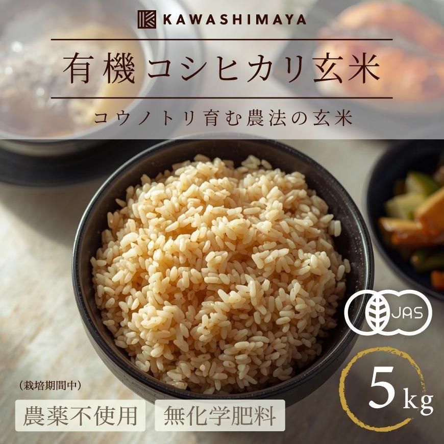 �ڿ��ơ�ͭ�����ƥ����ҥ��� 5kg�������ѻ�-ʼ�˸����ú��ݴ������������������Ի��ѡ�2025ǯ�ٻ���-���路�޲�-