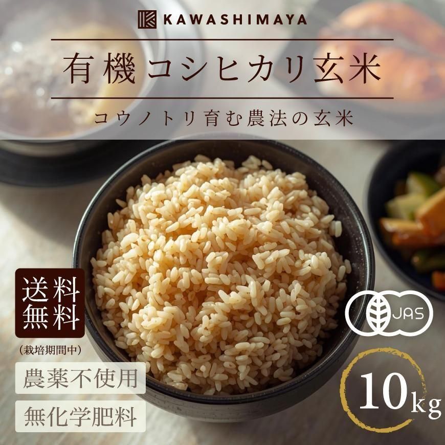 �ڿ��ơ�ͭ�����ƥ����ҥ��� 5kg��2�ޥ��åȡ�10kg�������ѻ�-ʼ�˸����ú��ݴ������������������Ի��ѡ�2025ǯ�ٻ���-���路�޲�-������̵����