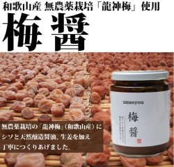 梅醤（無農薬龍神梅・紫蘇・天然醸造醤油・生姜の梅醤）500g-龍神梅特製-
