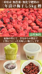 梅肉エキス600g-無農薬・無化学肥料 龍神梅100%使用