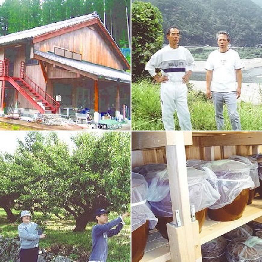 三年漬け梅干 -紀和の里梅 無農薬・無添加梅干し1kg 三年漬け梅干 -紀和の里梅 無農薬・無添加梅干し1kg