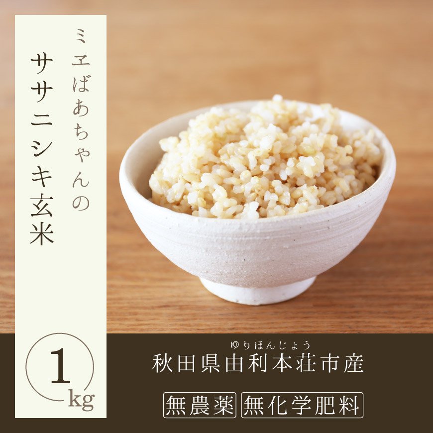 生まれと育ちが違う米　発芽用玄米10kg　４年産コシヒカリ　特栽①　農薬等不使用