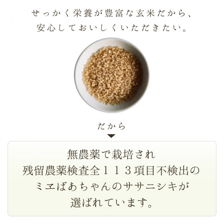 ササニシキ玄米1kg（須田商事-秋田県由利本荘産）無農薬・無化学肥料【2022年度産新米】