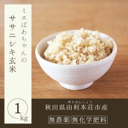 新米3年産栃木県特一等米【A級】30キロ、玄米無農薬にて作ったお米です