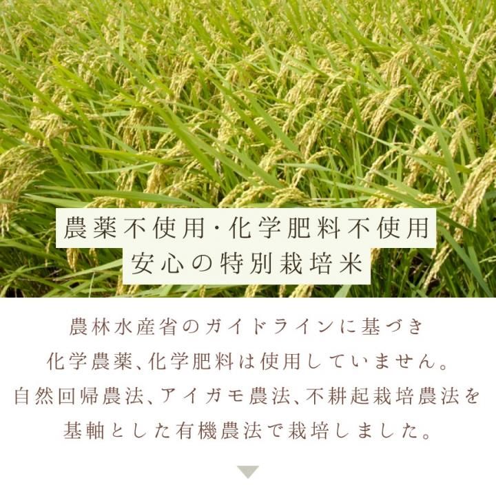 稲も人間と同じ！ 発芽用玄米5kg 5年産コシヒカリ 特別栽培① 農薬
