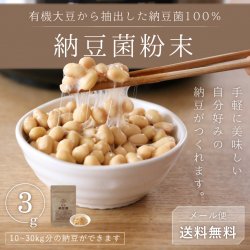 納豆菌粉末10g-有機大豆抽出の納豆菌100%【送料無料】*メール便での発送*