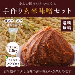 手作り玄米味噌セット-2.5kg分（北海道産大豆、有機玄米麹、塩、仕込み袋）【送料無料】