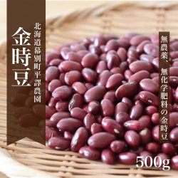 北海道産無農薬「金時豆」 500g｜平譯農園-2022年秋収穫