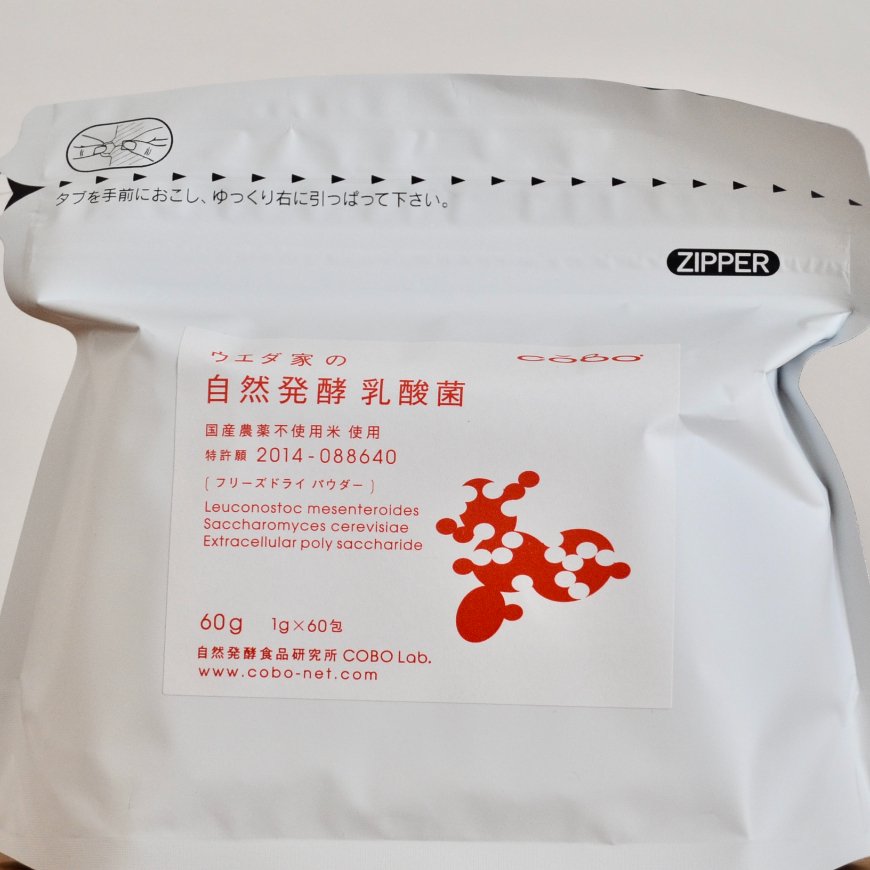 ウエダ家の自然発酵乳酸菌60g(1g　x60包)【送料無料】