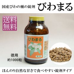 びわの種/粉末