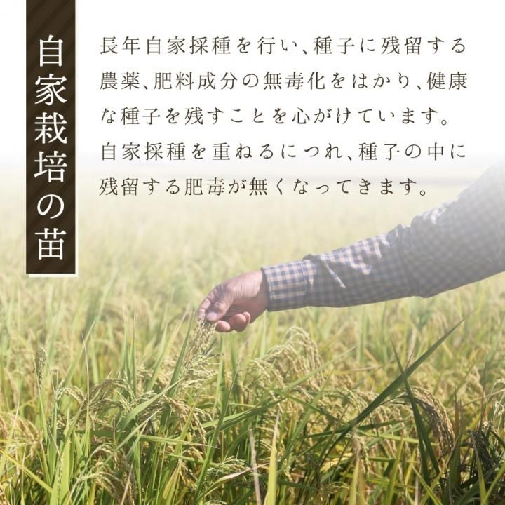 令和４年産ひとめぼれ　低農薬米で自然乾燥しています - 9