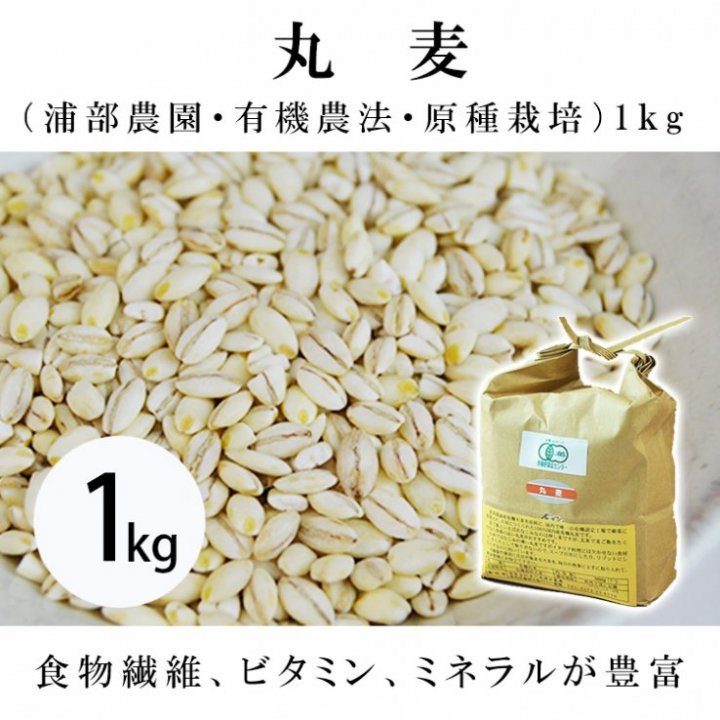 山岡家 サービス券 50枚 (おまけ10枚 合計60枚) - レストラン・食事券