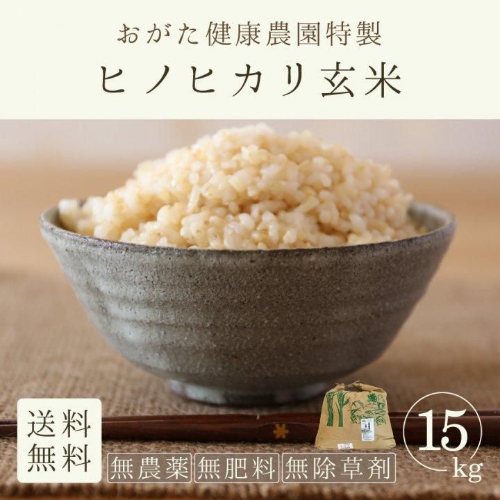 栽培期間中農薬不使用 無農薬 無化学肥料 自然栽培米 ヒノヒカリ 大粒 玄米 通販 栽培期間中農薬不使用 無農薬 自然栽培 化学肥料不使用 ヒノヒカリ 大粒 玄米