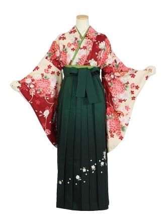 卒業式のレンタル袴 - 着物の宅配レンタル 京都きくやネット
