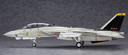 ハセガワ 「エリア88」1/48 F-14A トムキャット “ミッキー・サイモン