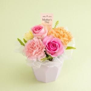 <img class='new_mark_img1' src='https://img.shop-pro.jp/img/new/icons12.gif' style='border:none;display:inline;margin:0px;padding:0px;width:auto;' /> 󥸥ȡХȥ͡