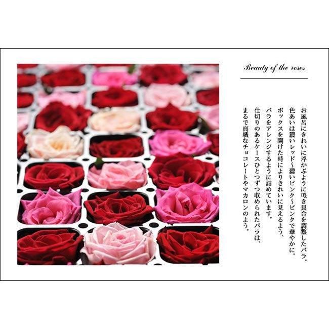 FancyStrawberry浴衣SET - Ank Rouge(アンクルージュ)の浴衣