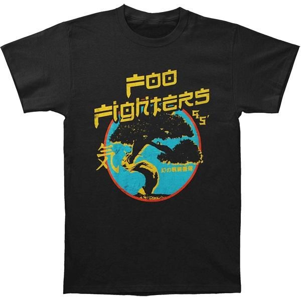 Vintage Foo Fighters The Colour and the Shape 90s t-shirt