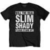 EMINEM Tシャツやグッズを一つにまとめました - バンドTシャツ
