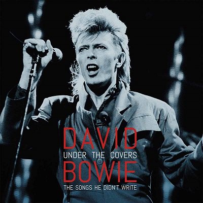 DAVID BOWIE Under The Covers, バンドグッズ（レコード盤2枚組