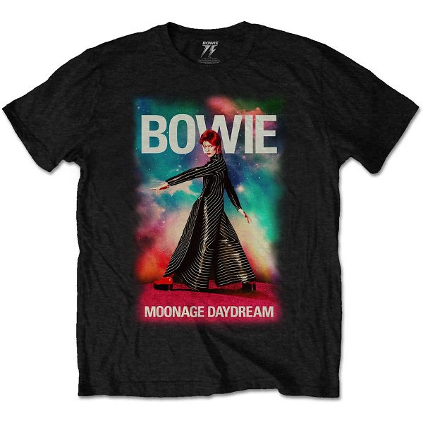 DAVID BOWIE オフィシャルTシャツ - トップス