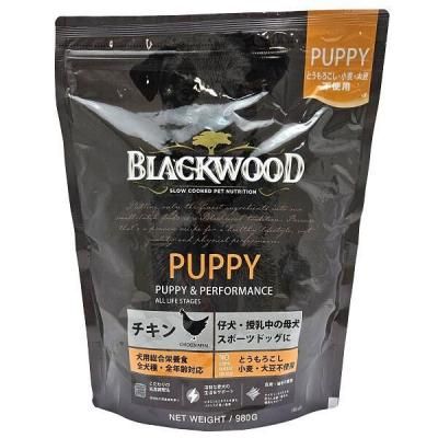 ブラックウッド パピー PUPPY 【BLACKWOOD】 - 関西吹田の
