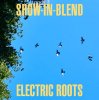 Coffee&Cigarettes Band - Show-In Blend [MIX CD] Electrc Roots (2017) 