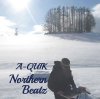 A-QUIK - Northern Beatz [CD] 쥳 (2017)ŵդ