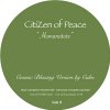 CITIZEN OF PEACE - CALM & KUNIYUKI REMIX 12