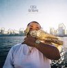 C.O.S.A. - Girl Queen [CD]  SUMMIT (2017) 