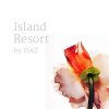 ISAZ - Island Resort [MIX CDR] BEGINNERS TAPE (2017) 