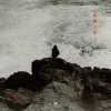 ֿ - ȯڿʹ [CD] GRANMA MUSIC (2012/2017)