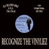 DJ BLZRD RBZ a.k.a. The Peal - RECOGNIZE THE VINYLIEZ [MIX CD] JIGGAMENS RECORDING (2018) 