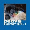 peavis - SLOWLY TAPE [CDR] ASIAN TORCH (2018) 