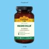 K-FLASH - EARSUPPLEMENTAL (MAGNECHILLM) [MIX CD] Listenup Records (2018)