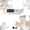 NAGMATIC - RAW PIECES 2 [MIX CD] DLiP RECORDS (2019) 